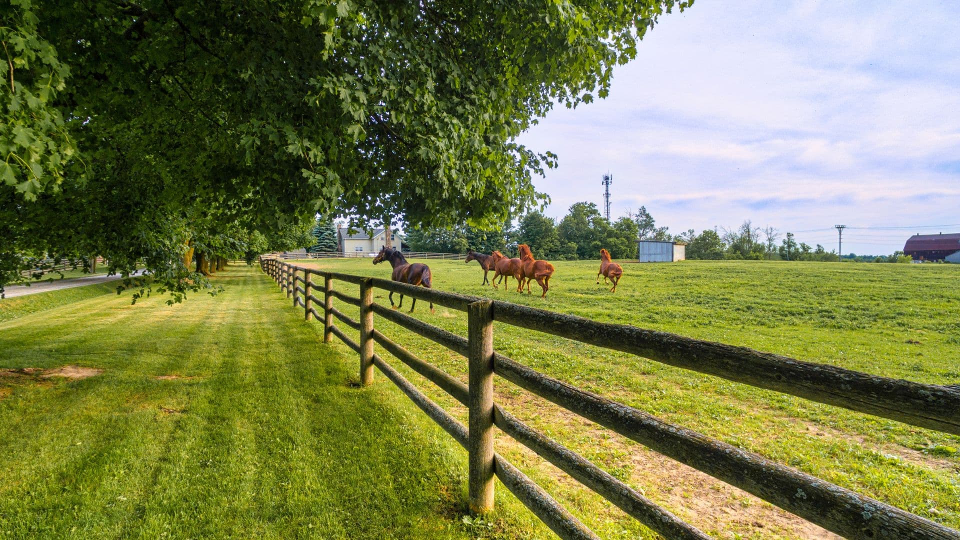 Granbury real estate market